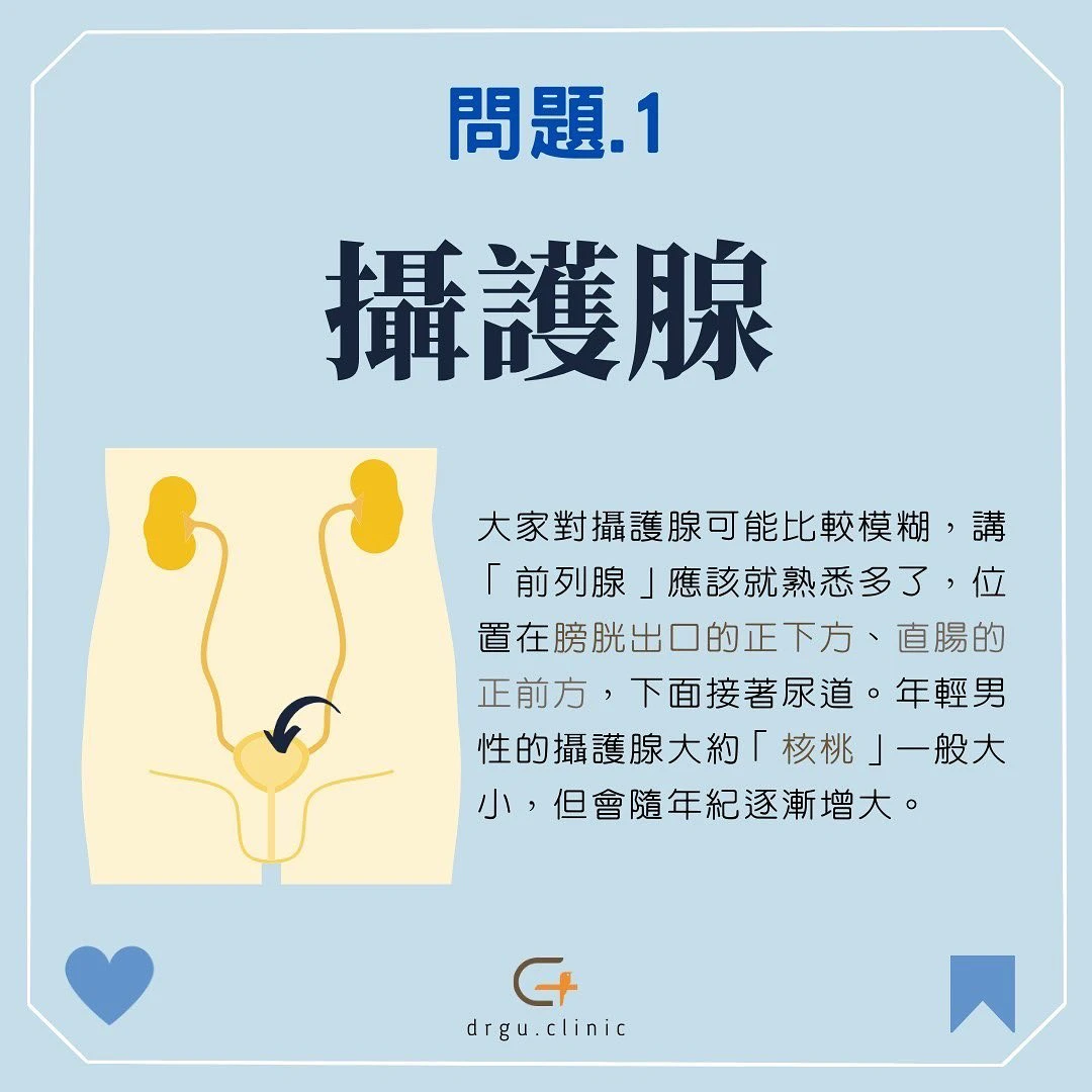 尿尿一直滴！攝護腺肥大症狀與治療全解析：從早期徵兆到正確就醫指南