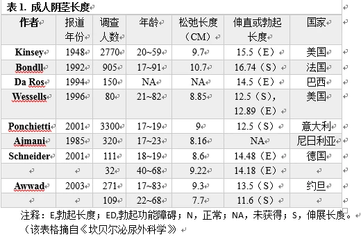 陰莖尺寸真的那麼重要嗎？專家解析男性困擾與改善方案